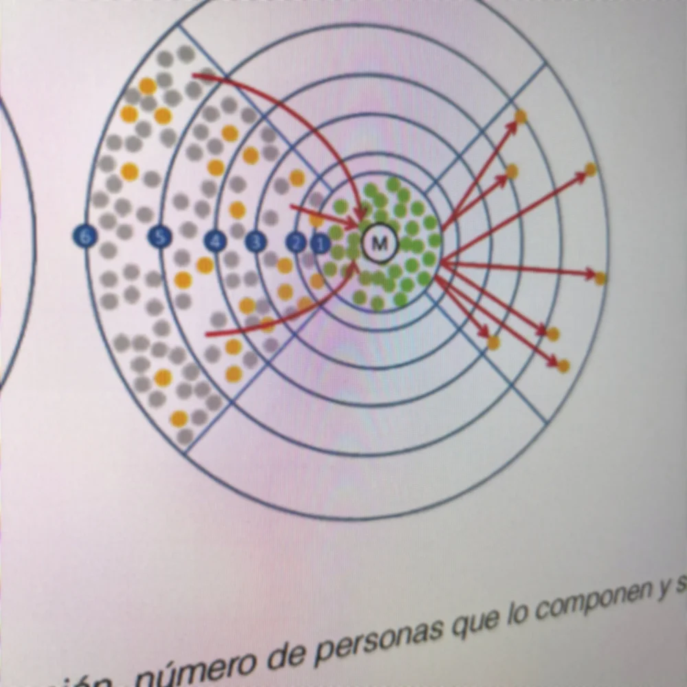 Mr. Wonderful social